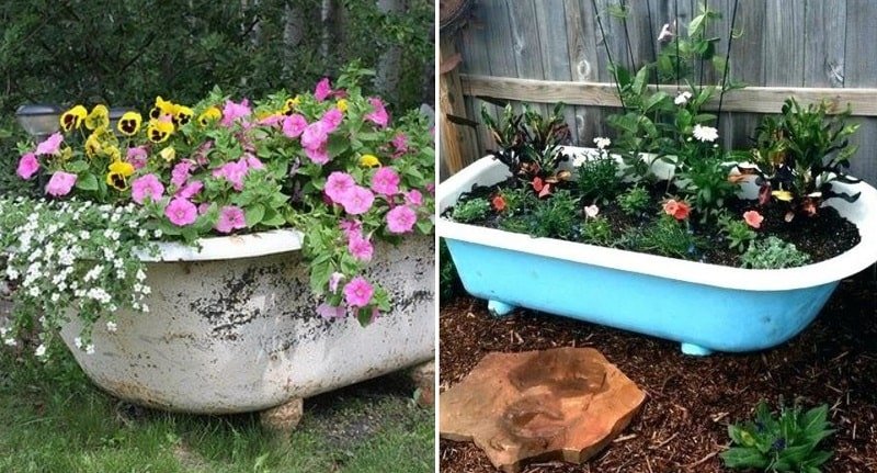 цветник в саду