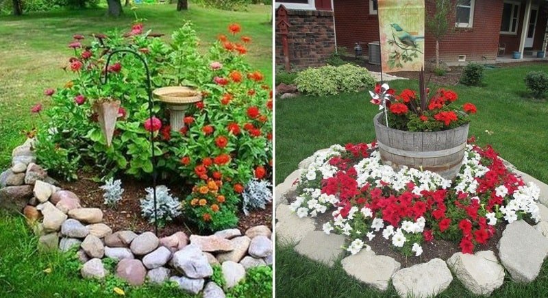 многолетники и однолетники