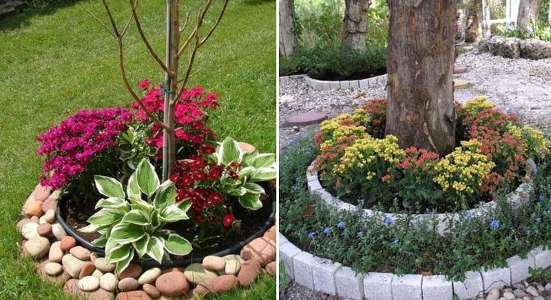 приствольные клумбы