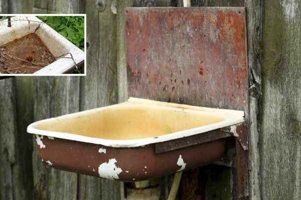 Во что превратить старую ненужную раковину на даче