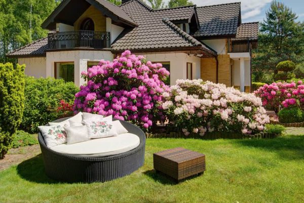 Мастерство выращивания цветника на даче