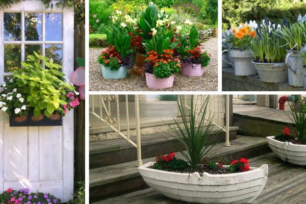 Как внести новизну в создание клумб на даче