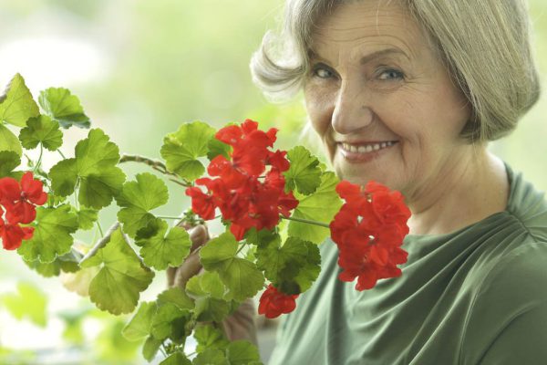 Цветочный гороскоп на 2022 год: что ты за цветок и какие перемены ждут тебя в ближайшем будущем