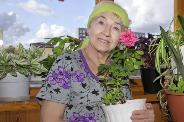 Цветочница выносит летом комнатные растения на улицу, шикуют там до сентября