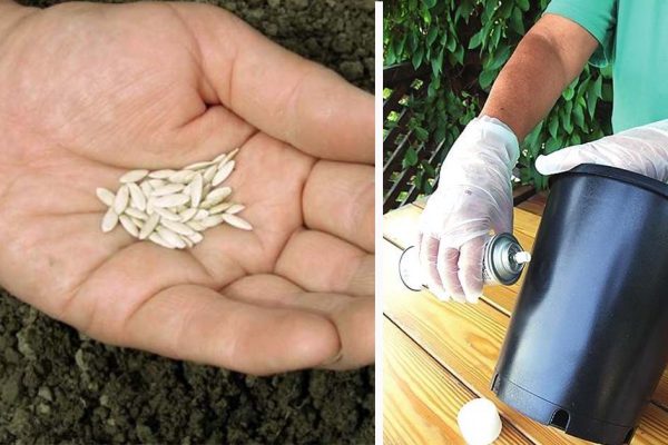 Самый простой способ создать цветущий сад за окном. Вот оно, мое летнее настроение!