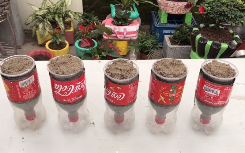 горшок для цветов керамический