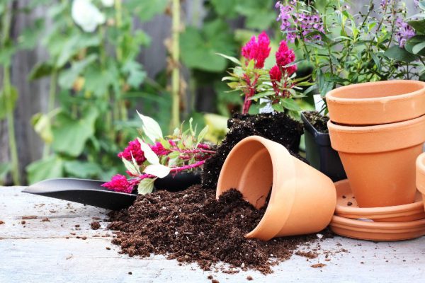 Зачем наполнять цементом пластиковые бутылки