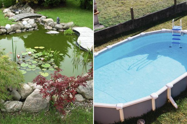 На что спускают деньги дачники, а потом горько плачут