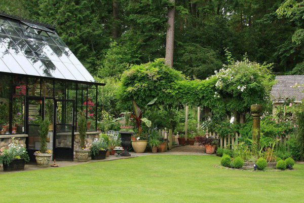 Идеи для облагораживания дачного садового участка