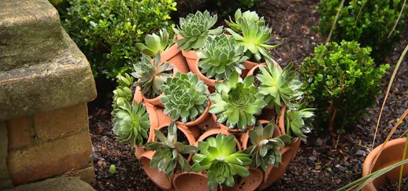 многоуровневая цветочная клумба