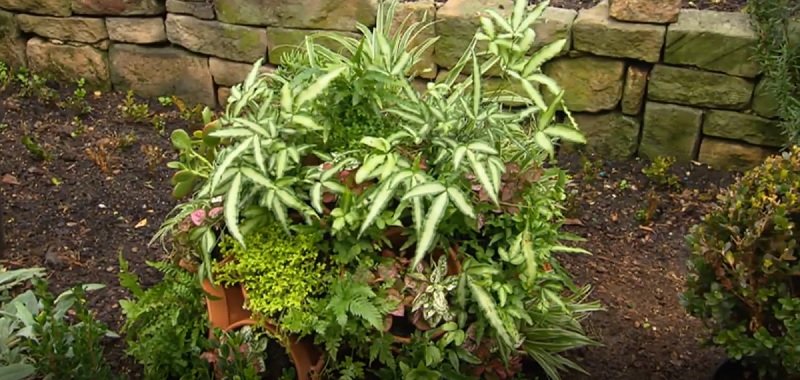 многоуровневая цветочная клумба