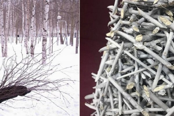 Зачем собирать сухие ветки в лесу