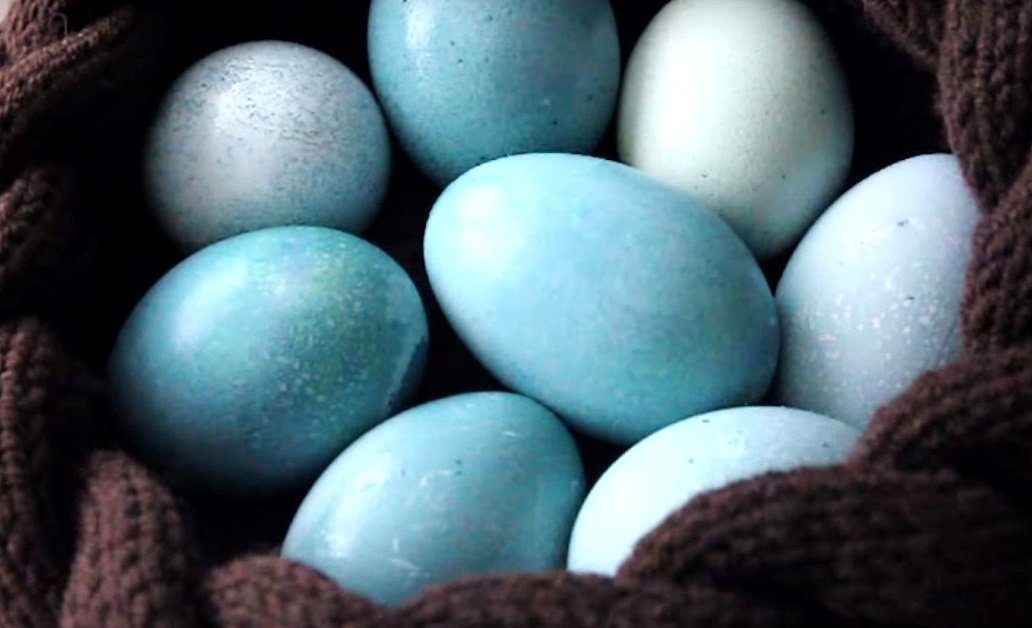 покраска пасхальных яиц натуральными красителями
