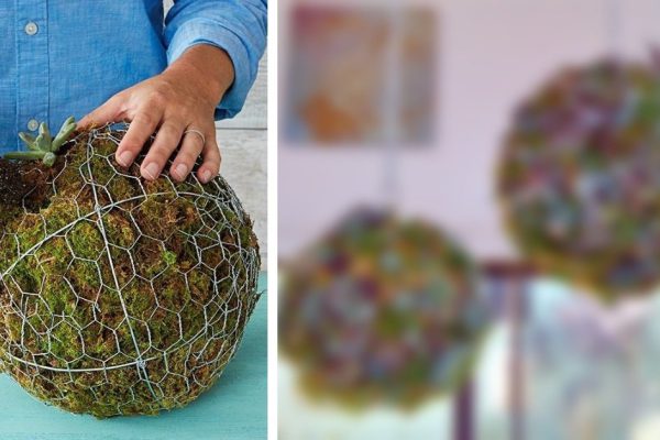 Как сделать подвесную клумбу из проволоки