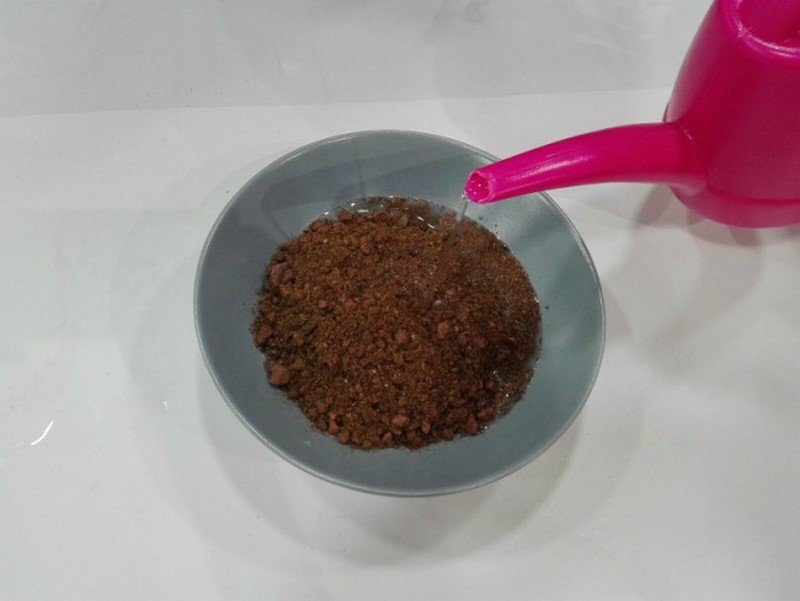 кокедама из орхидей