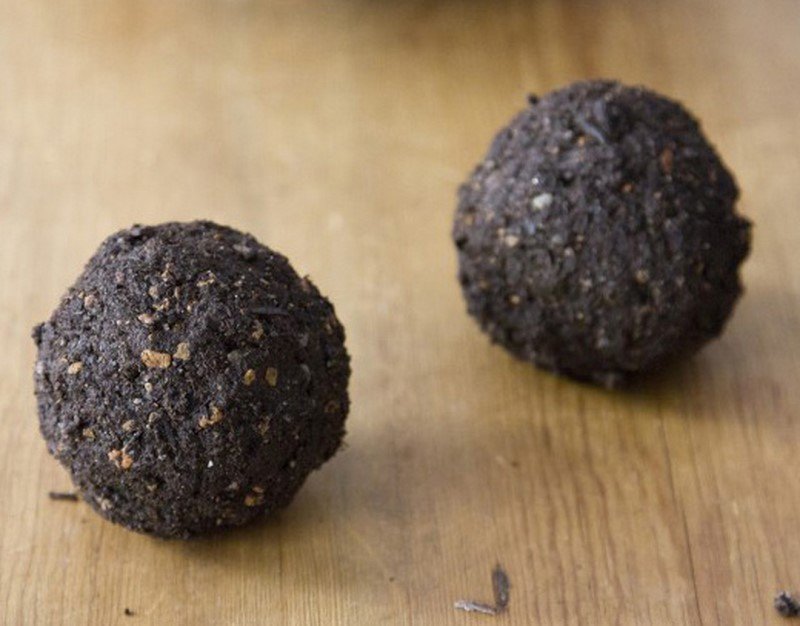 домашние растения фото