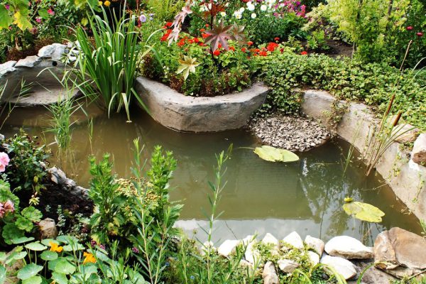 green; pond; stream; water; stones;