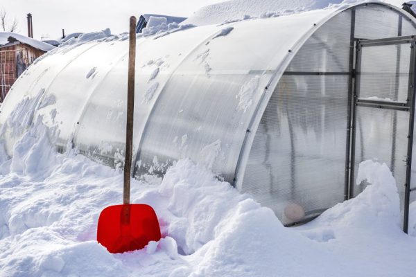 Что нужно успеть на даче в феврале, пока не появились лужи вместо сугробов