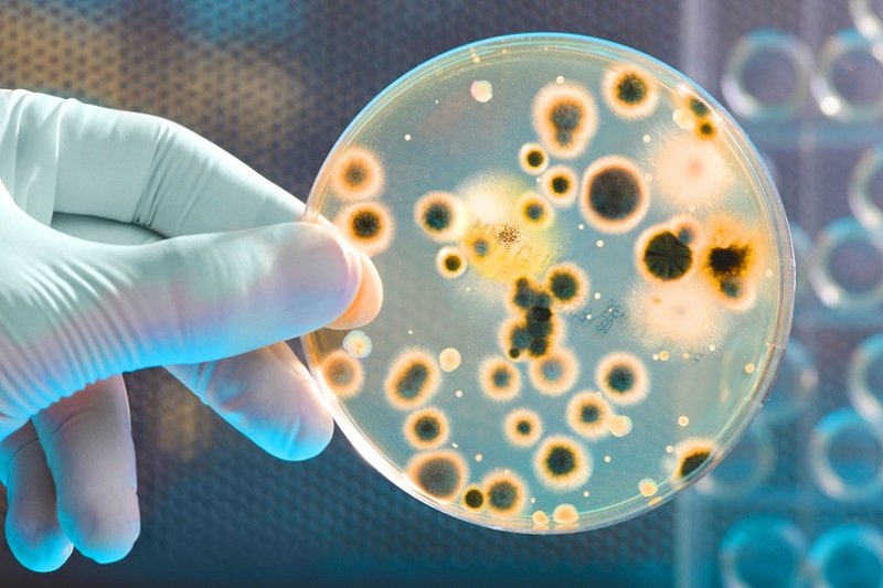 осложнения от дифтерии