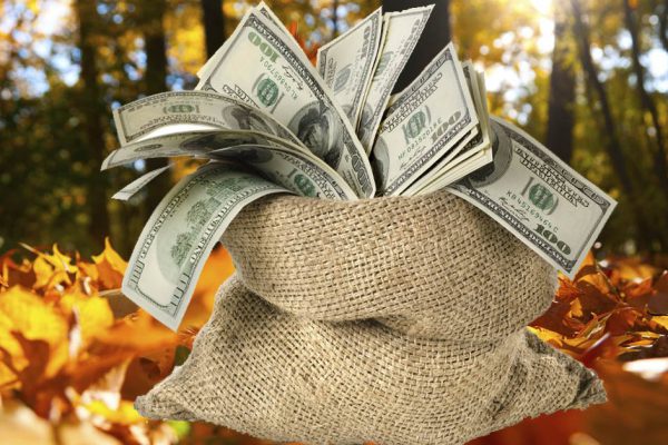 Можно легко привлечь деньги и любовь в жизнь 23 сентября, в день осеннего равноденствия