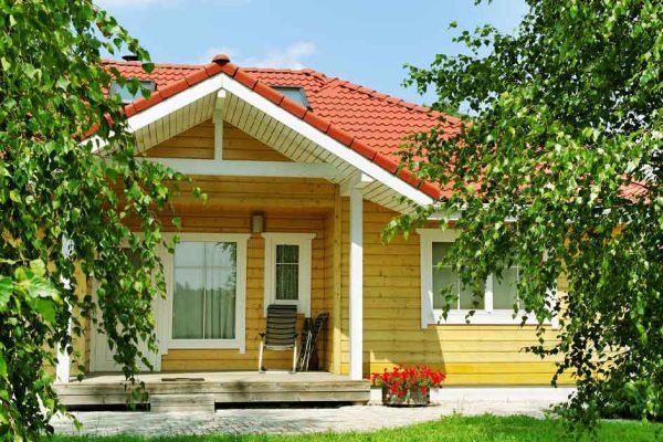 Никогда не сажай эти деревья возле дома, они излучают пагубную энергию