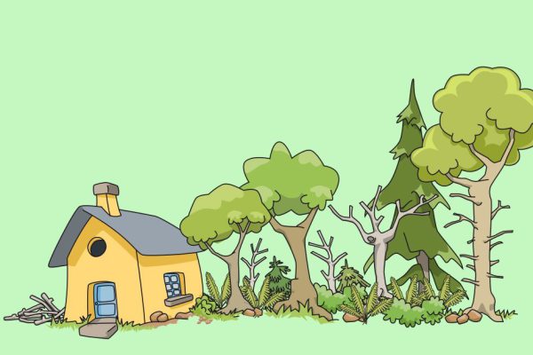 Какие деревья не нужно сажать возле дома