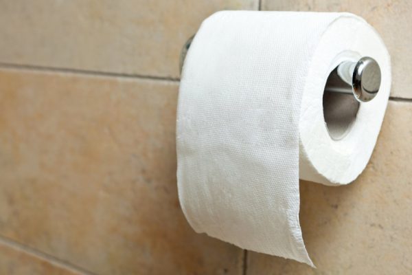 This is a closeup of a toilet paper