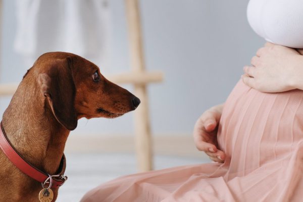 Не хочу играть в добрую мачеху и брать ребенка мужа к себе, я в положении