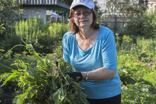 Бессовестная сестра никогда не помогает маме, она в 64 года сама обрабатывает огромный огород