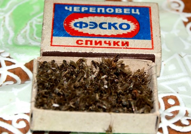 детские легенды короткие