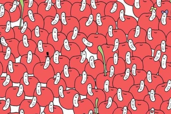 Простая детская задачка с вишнями, которая поможет проверить твою внимательность