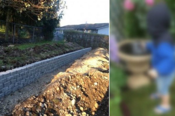 Как преобразить серый и скучный задний двор