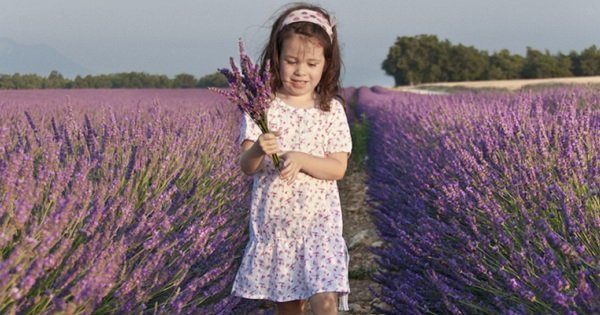 10 правил питания, о которых знает каждый европейский ребенок. Учи и своего, пока не поздно!