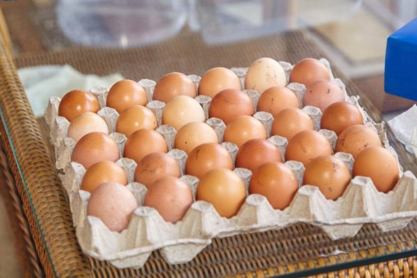 Prevention of infection. A hand in a blue rubber glove sprays an aerosol antiseptic on fresh chicken eggs. Close-up