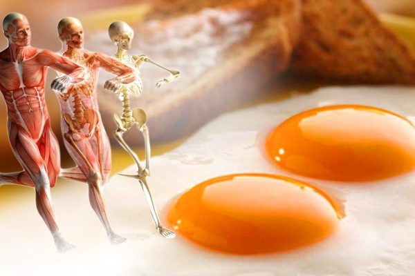 «Сжечь жир, а мышцы оставить! За 5 недель: более эффективного способа похудеть просто не существует…»