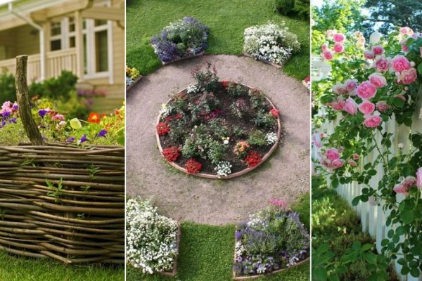 Как оформить клумбу на примере голландских садоводов