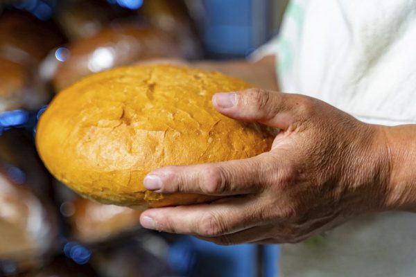 Когда дома не осталось даже заварки, а в карманах не было ни копейки, я отправился на хлебозавод возле дома, никогда не забуду этот день