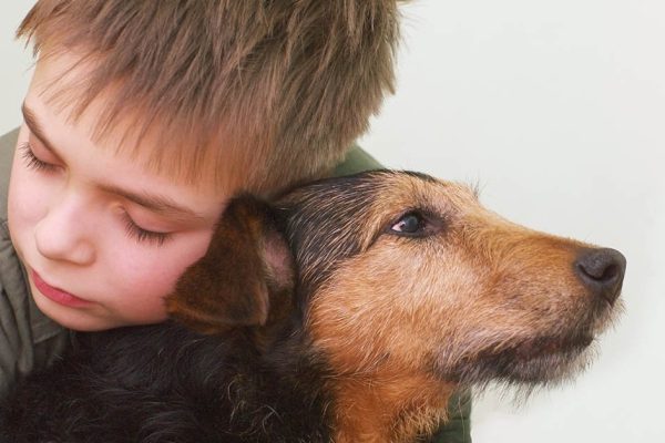 По пути в школу Ибрагим заметил пару бездомных собак, что привольно грелись на осенних листьях, он без страха подошел к хвостатым и начал обниматься