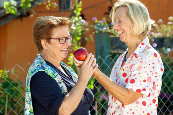 Laughing senior women with a red apple standing together in the sunshine in a garden as they debate who is going to eat it.