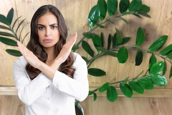 Никогда не держи это растение в доме, ведь последствия могут быть фатальными