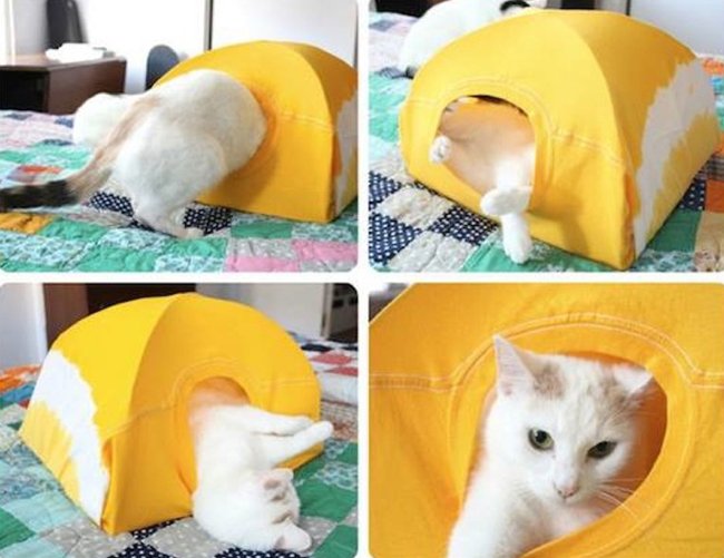 дом для кота