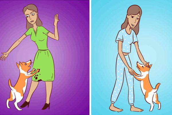 Принципы ухода за домашними животными