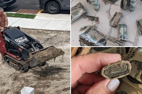 Супруги решили обустроить свой двор и внезапно обнаружили там закопанные деньги