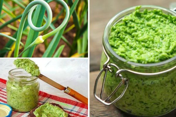 Заготовки из чесночных стрелок, что с успехом заменят дорогие итальянские приправы