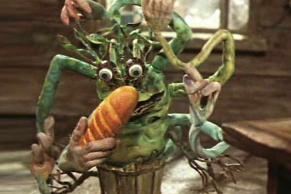 С какими комнатными растениями пришло время попрощаться навсегда