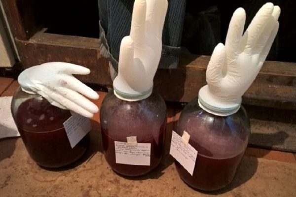 Домашнее малиновое: Игорь Николаев пел о нём, а мы научим тебя его готовить