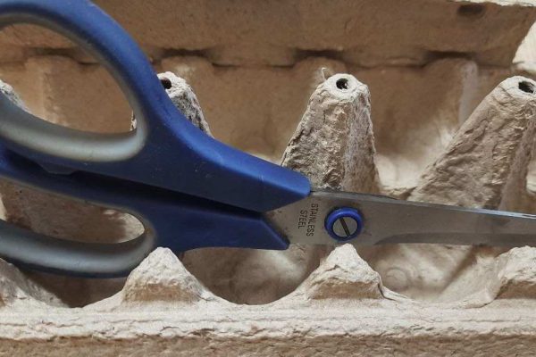 Подняла крик, когда увидела, что дочь выбрасывает бумажный лоток из-под яиц, мне он необходим