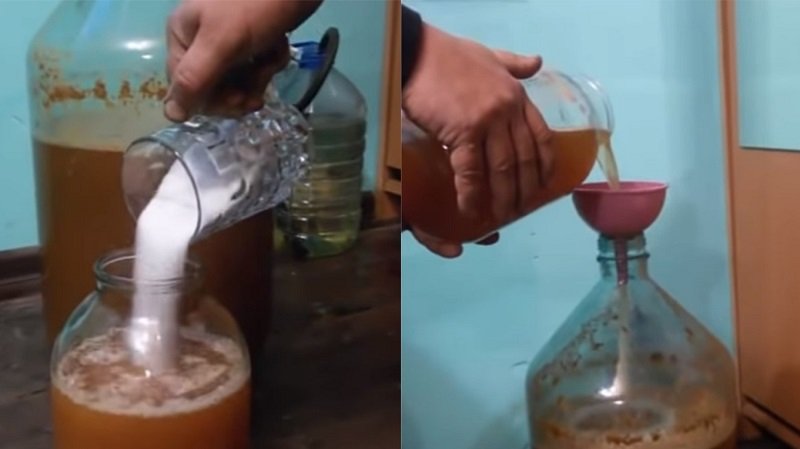 как сделать яблочное вино