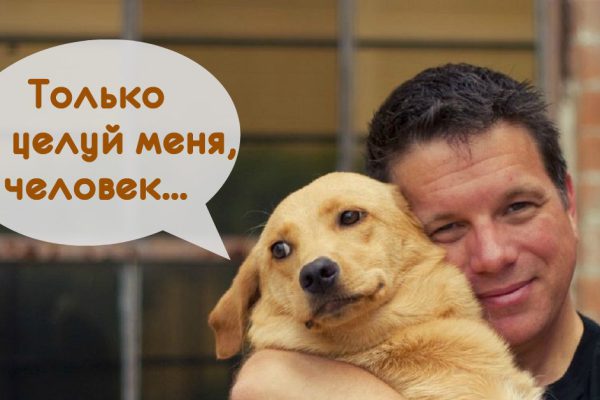 Знакомый ветеринар рассказал о том, что может произойти, если целовать домашних животных. Я был в шоке!