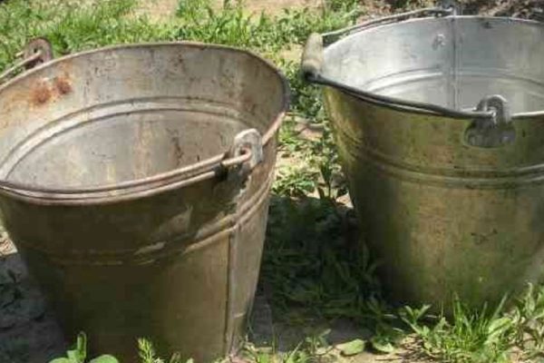 Нужно ли выбрасывать старые ведра